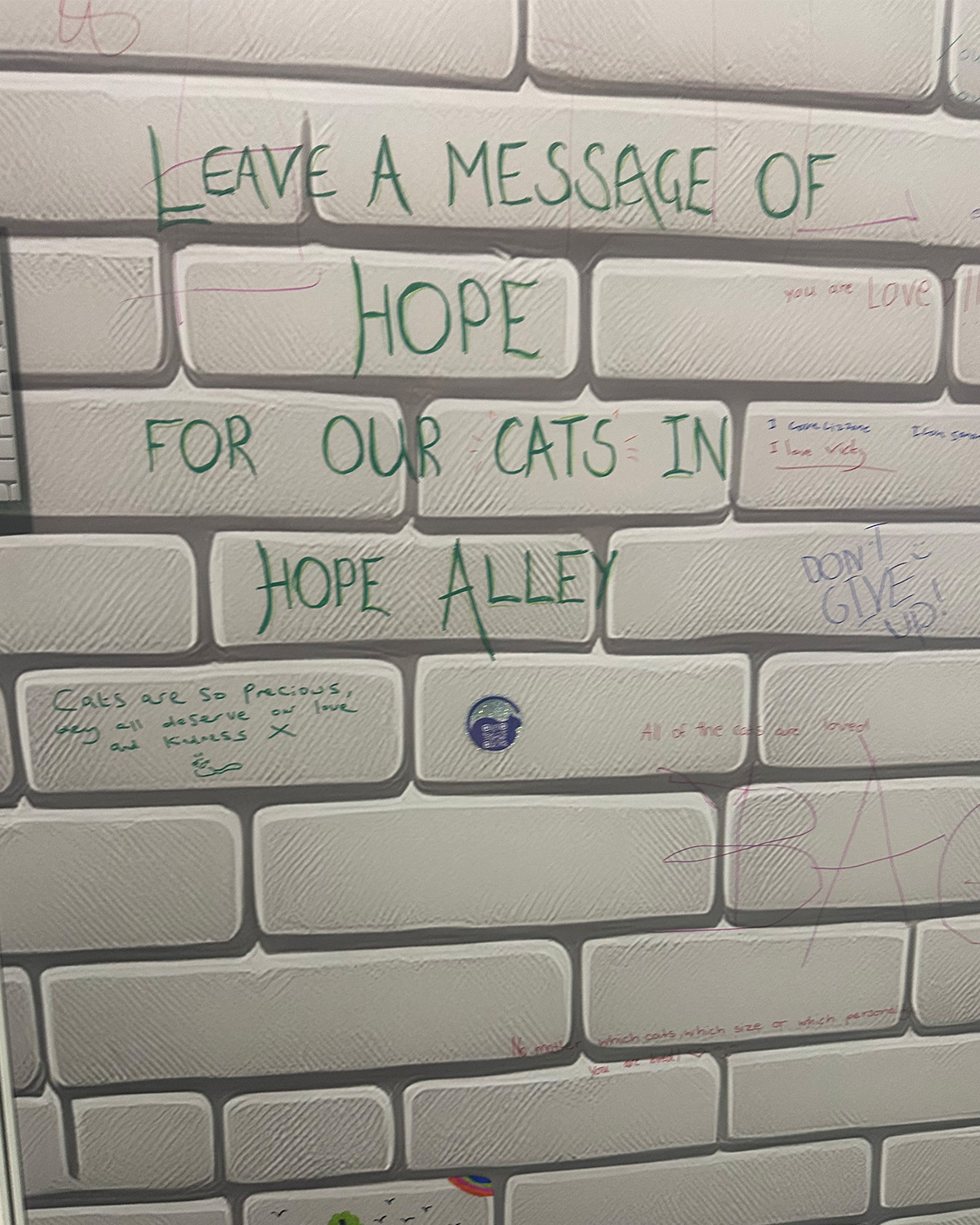 Wall with messages for cats waiting to be adopted
