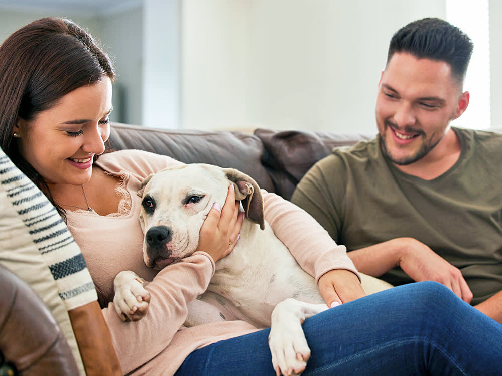 Couple cuddling with their dog on the couch.
