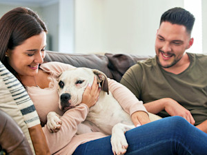 Couple cuddling with their dog on the couch.