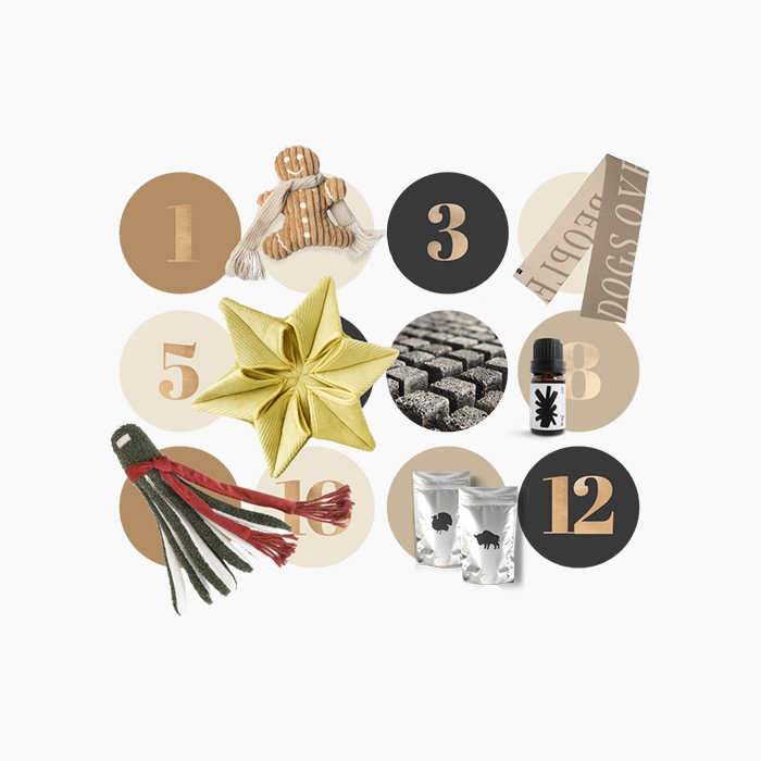 advent calendar for pets