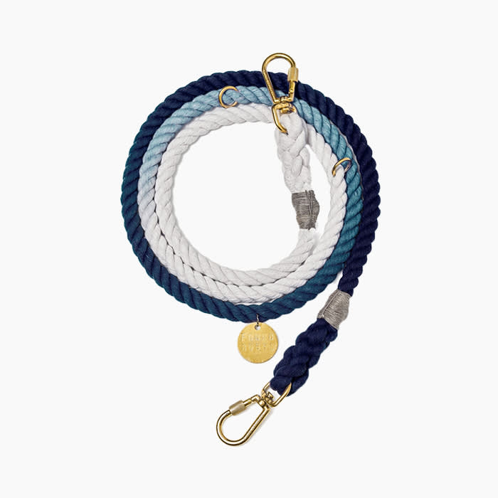 ombre blue dog leash