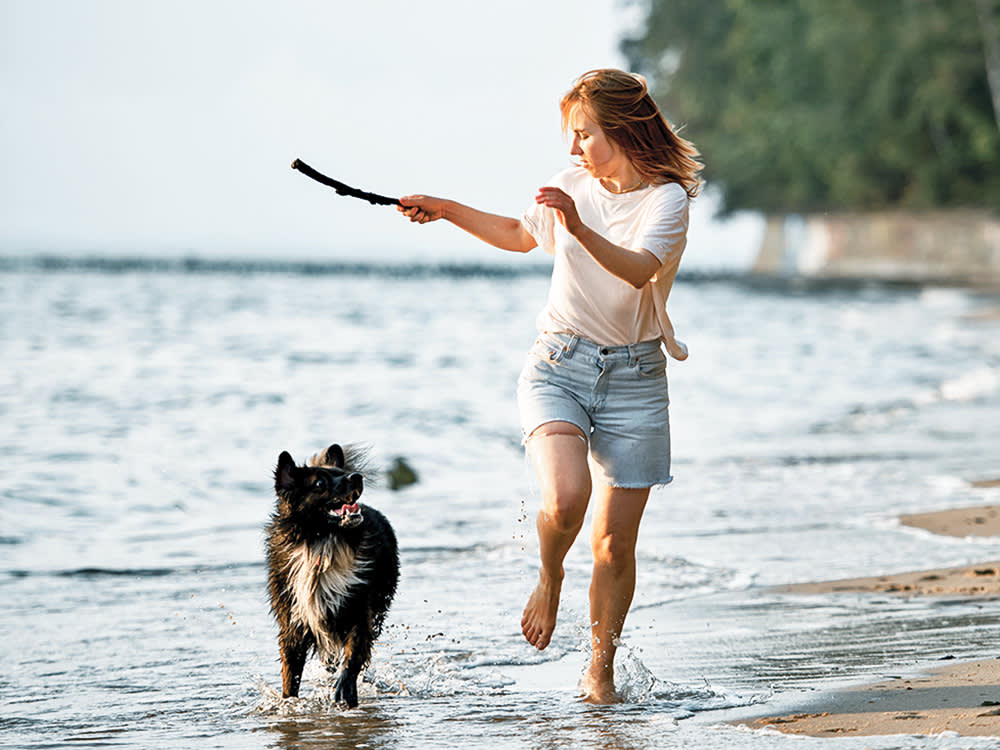 Woman plays with her dog on the beach in the summer.