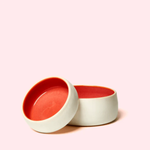 ceramic pet bowls with red interior