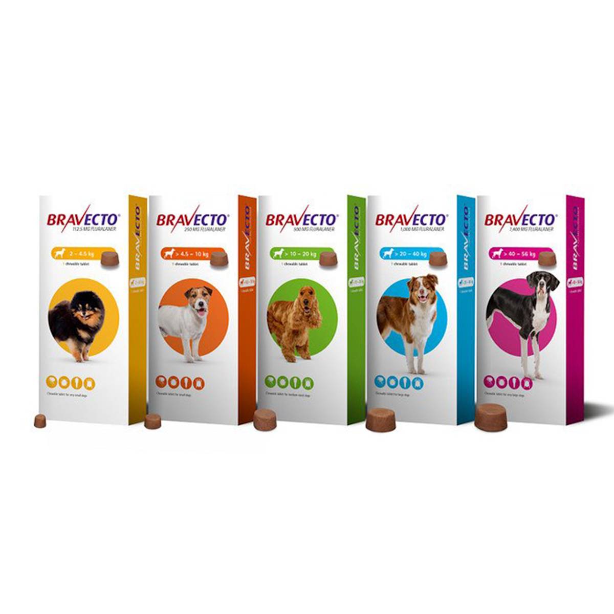 Bravest dog flea treatment packages