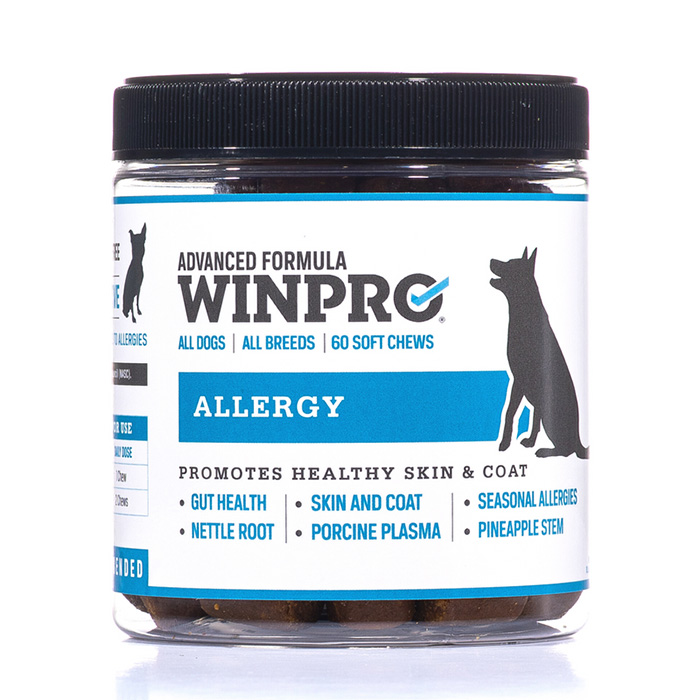holistic allergy treatment for dogs