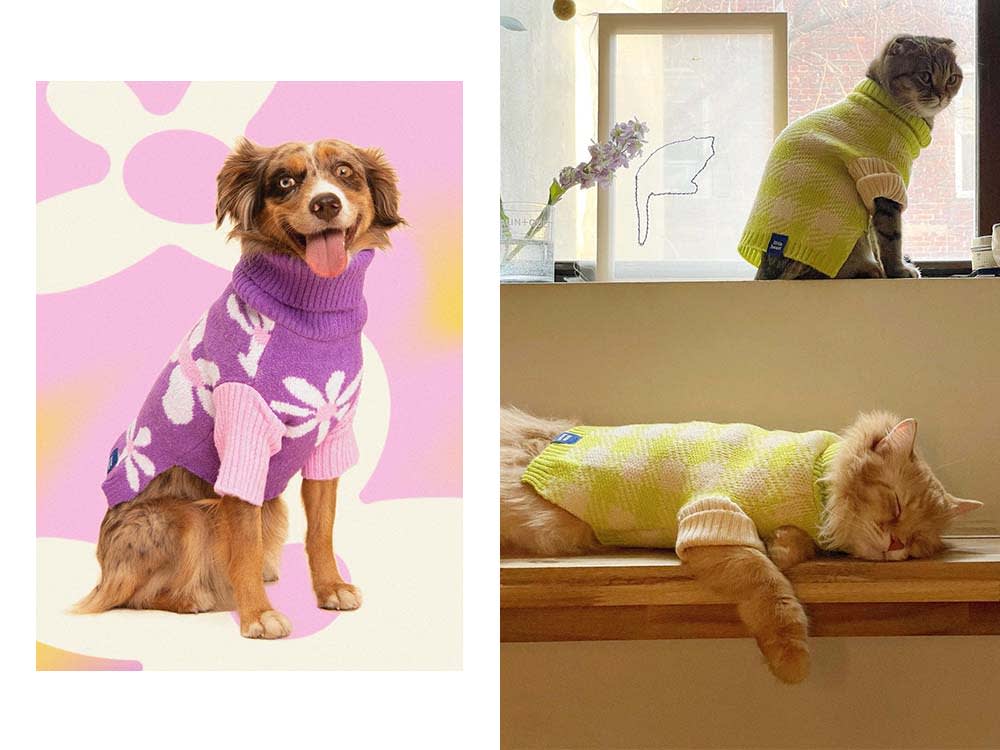 a dog in a purple flower-printed turtleneck; a dog in a lime green sweater