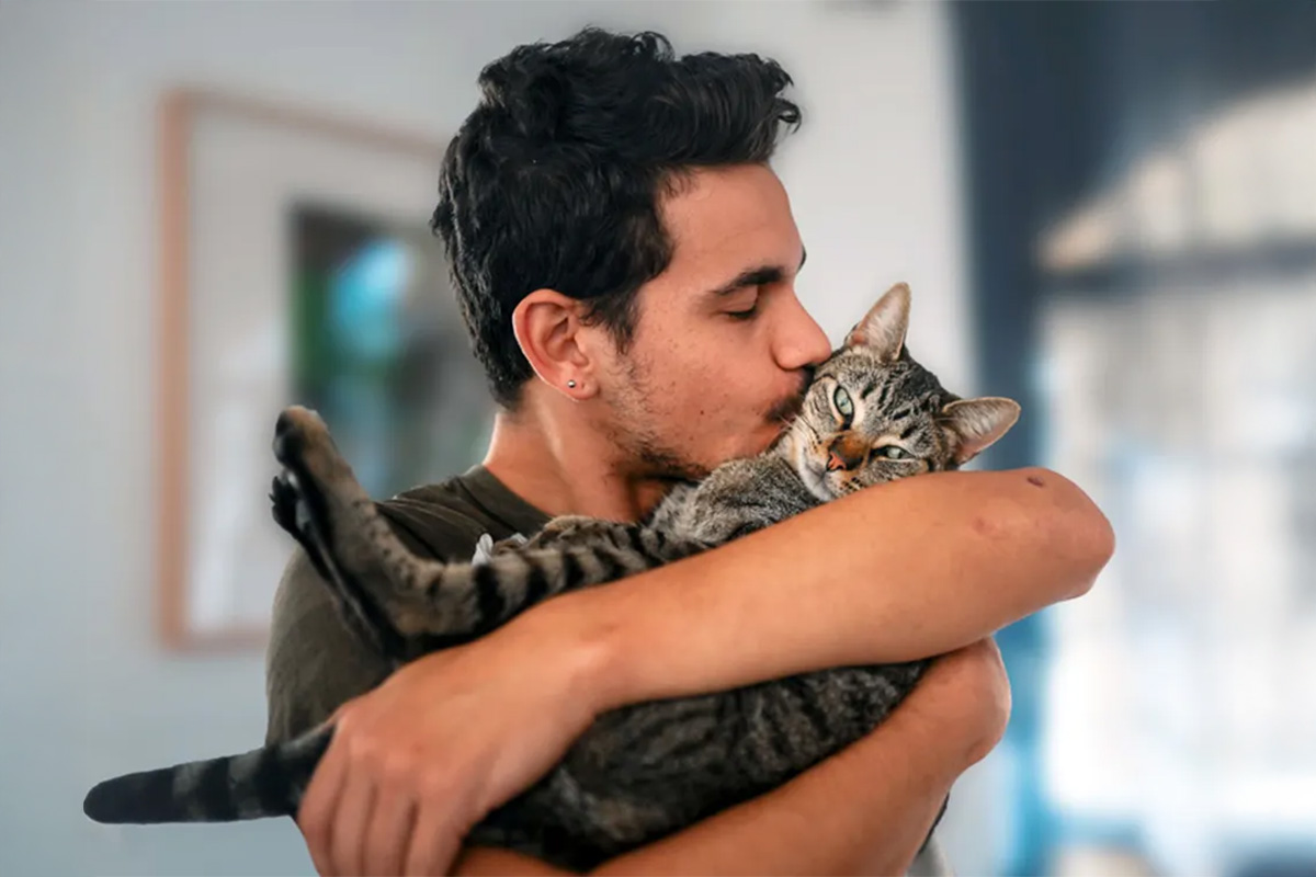 Person cradling and kissing a cat