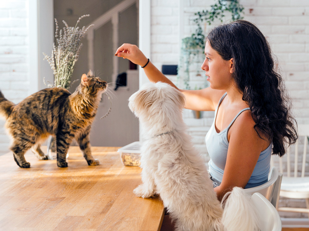 woman feeding a dog and a cat