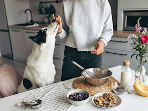 Woman baking with her black and white dog.