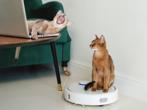 A cat yawning and sitting on a laptop open on a coffee table while another cat stands on a white robo vacuum on the carpet
