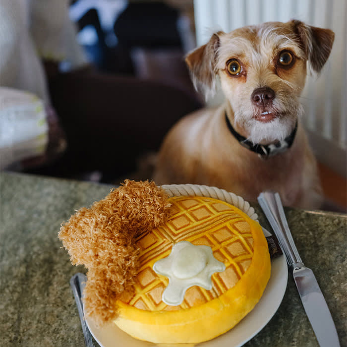 waffle with fried chicken stuffed toy