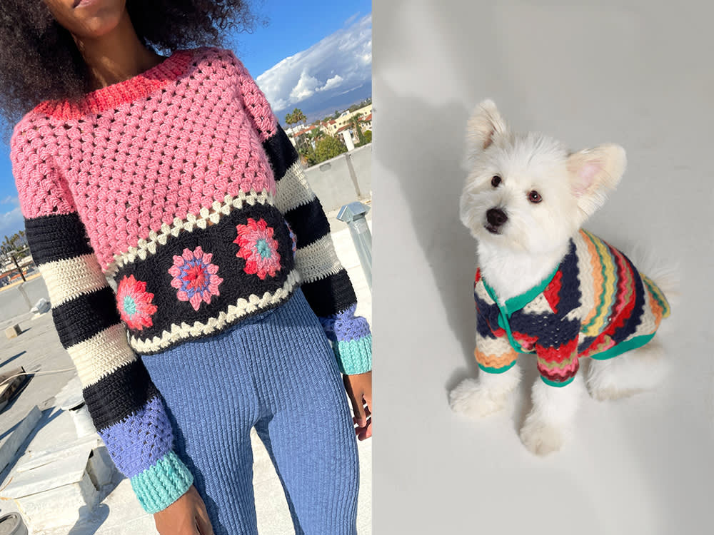 a crochet sweater, a dog in a rainbow crochet sweater