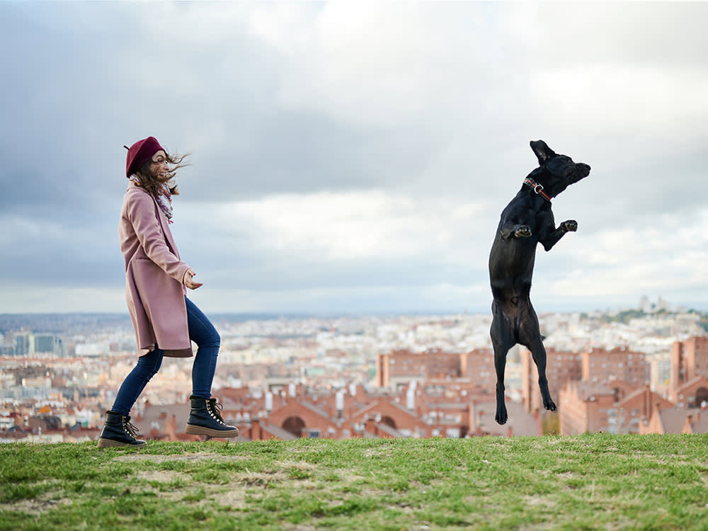 A dog jumping in the air next to a woman smiling. 