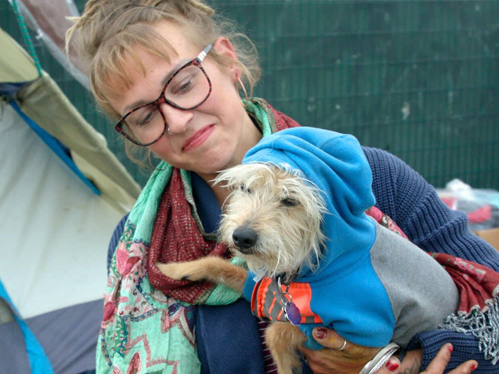 a woman holds a small dog in a blue hoodie 