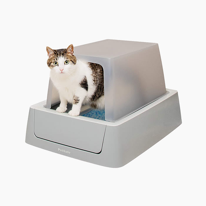 the self cleaning litter box
