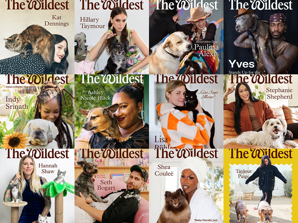 A collage of all of the cover stars of The Wildest in 2022