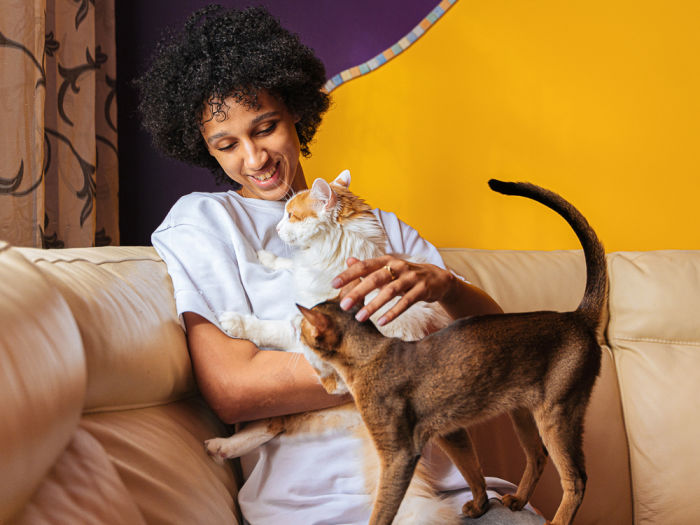 Cheerful Black Woman Caressing Cats On Couch