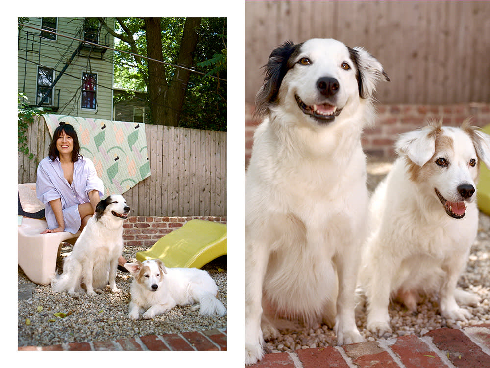 cold picnic founders Phoebe Sung and Peter Buer and dogs