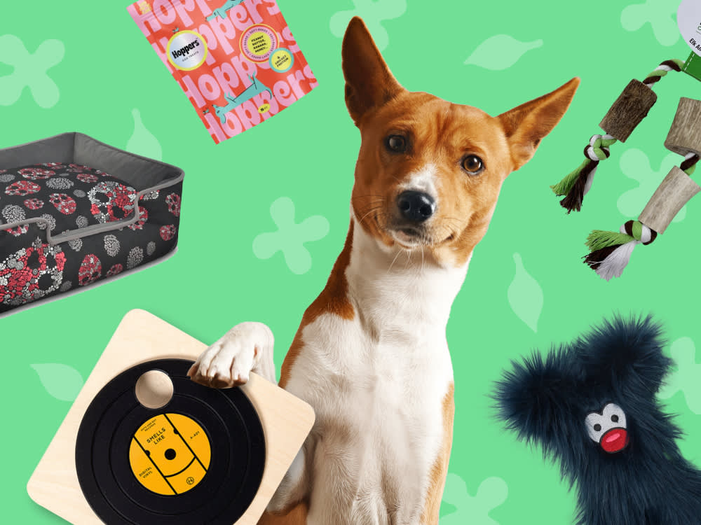 Chewy's Editors Pick the Best Holiday Pet Gifts of 2023