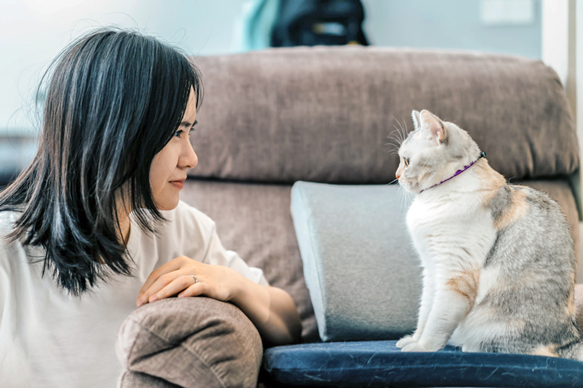 woman staring at her white cat