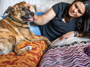 Woman petting her dog at home.