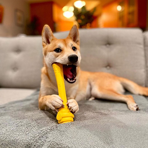 project hive dog toy