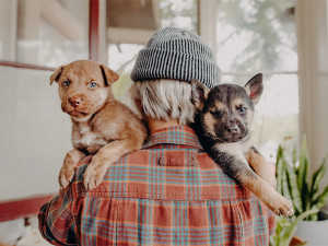 A person wearing a plaid shirt and knit hat holding two cute puppies over their shoulder.