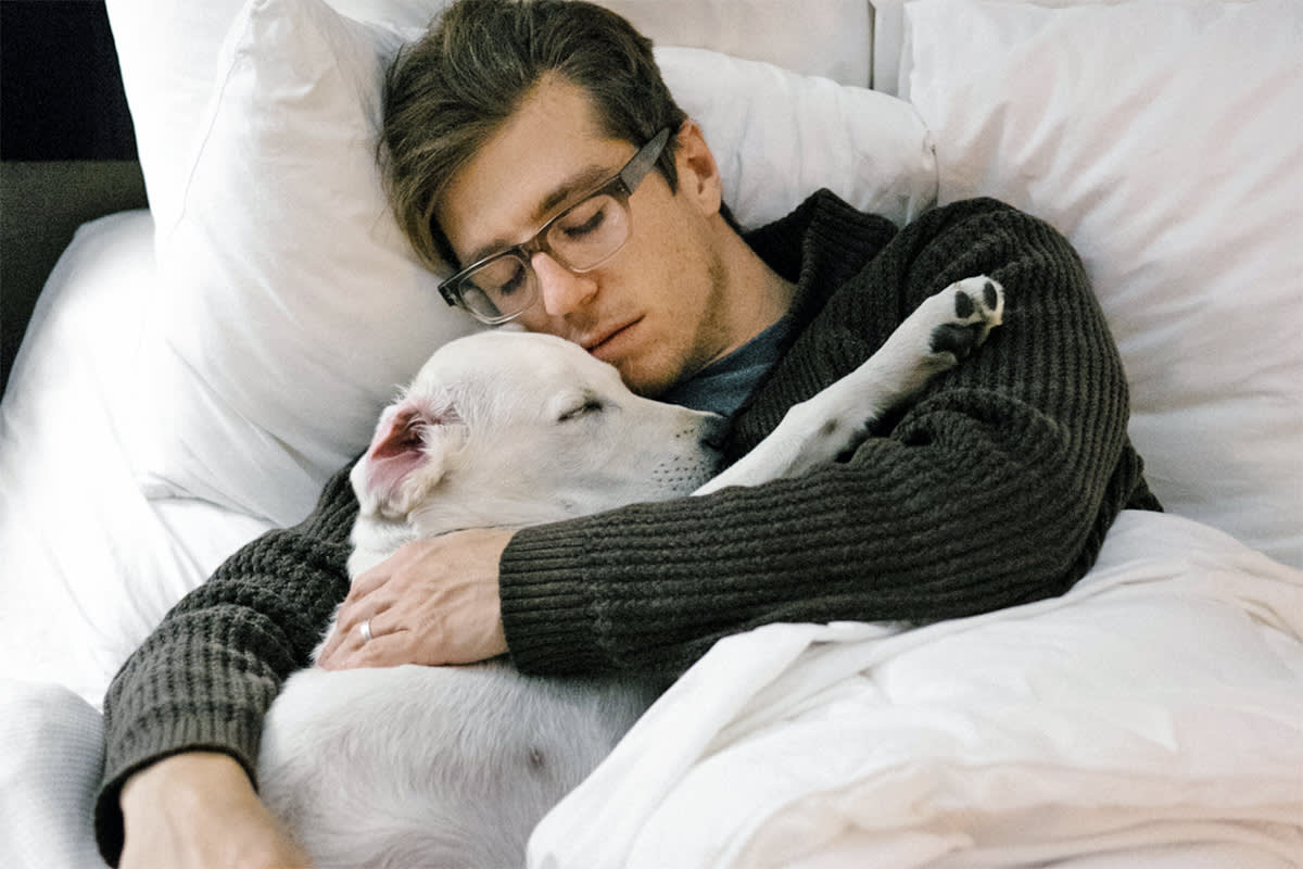 dog and person sleeping in bed