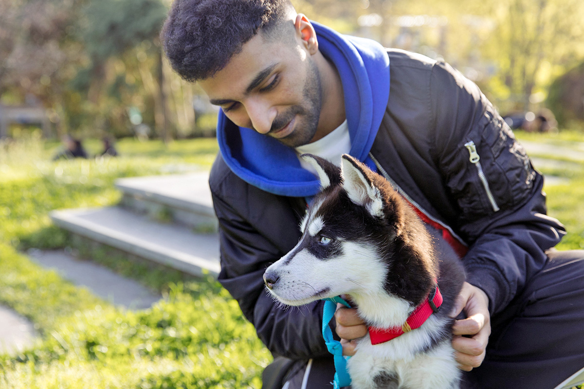 Person petting a dog