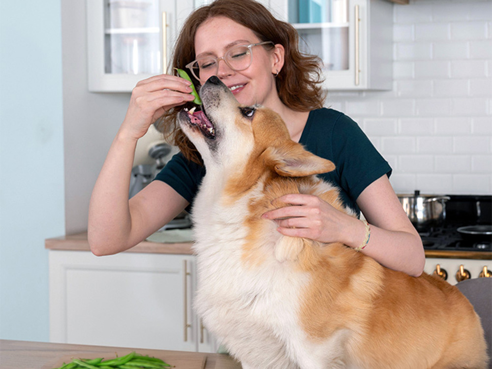 a pet parent feeding their dog green beans