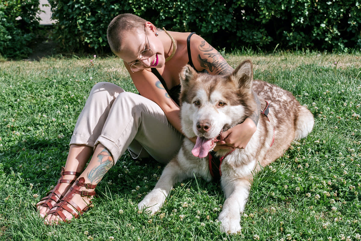 Person petting a large dog