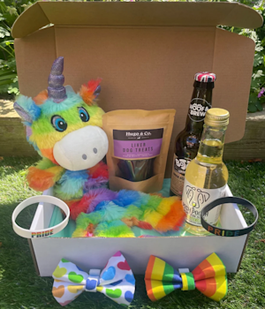 Buddys Limited Edition Dog Pride Celebration Box