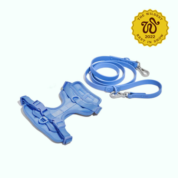 the walk kit in blue