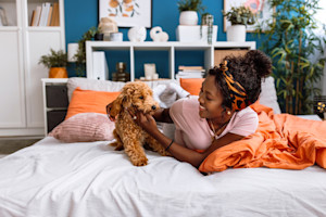 cute puppy in human bed with a girl with curly hair