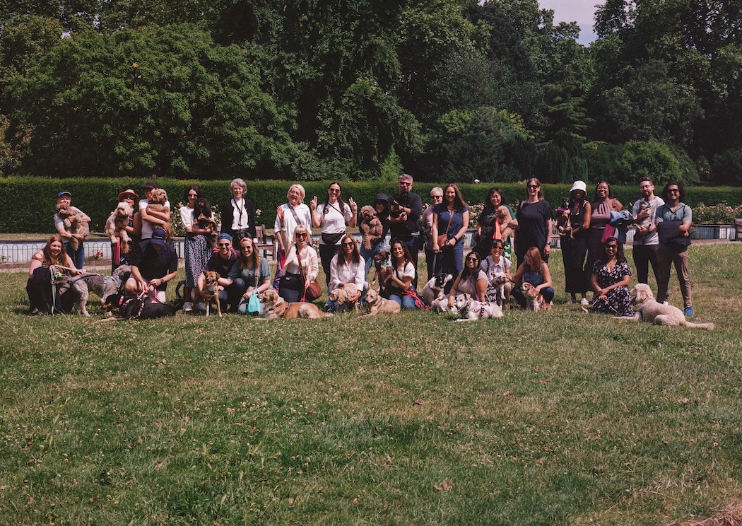 a group of people post ina park with their dogs