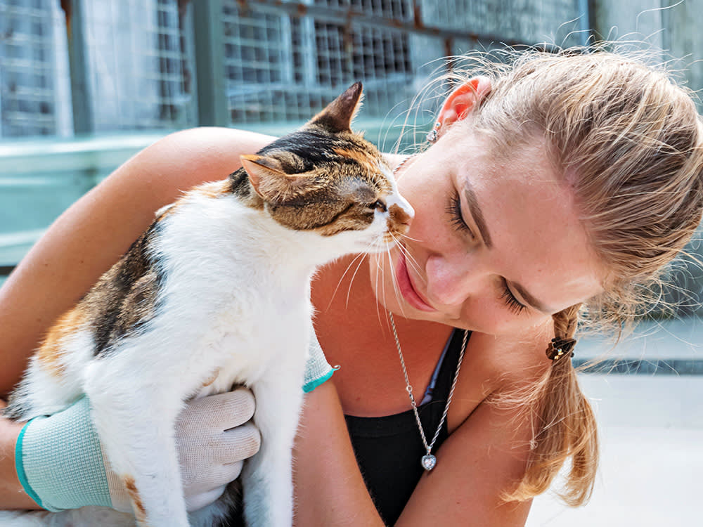 Woman volunteering at animal shelter and holding a cat.