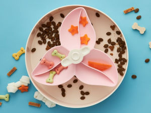 Paw and Spin slow feeder bowl in baby pink with varying kinds of treats on and around it against a blue background