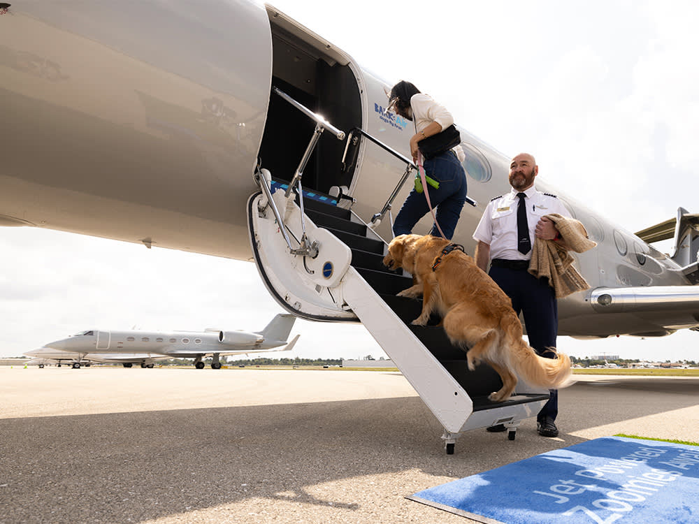 Human and golden retriever greeted by captain at the stairs of a private jet with BarkAir logo