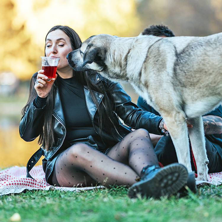 Woman drinking cranberry juice outside while dog tries to taste some.