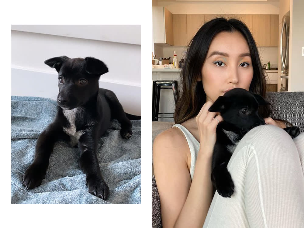 olivia sui and her puppy grizzy
