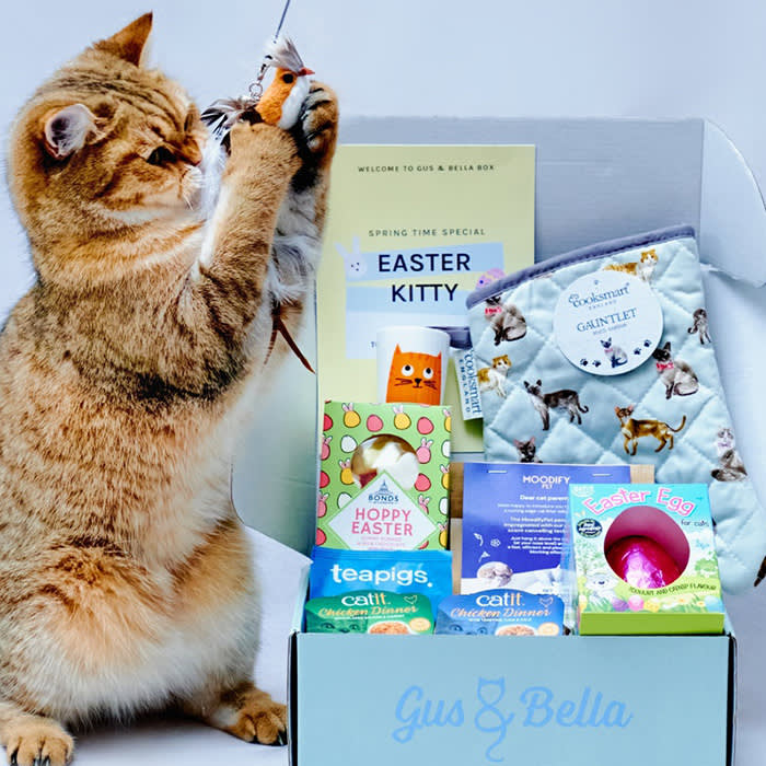 gus and bella cat subscription box