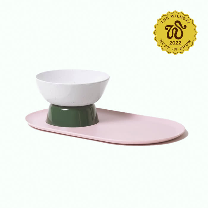 elevated cat bowl in pink and green