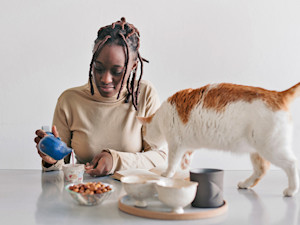 woman pouring tea while cat comes close