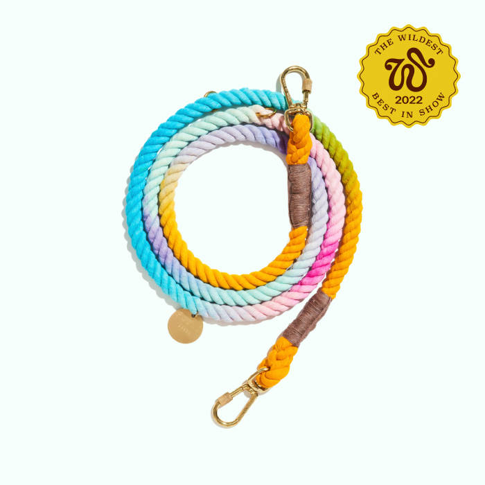 rainbow ombre leash