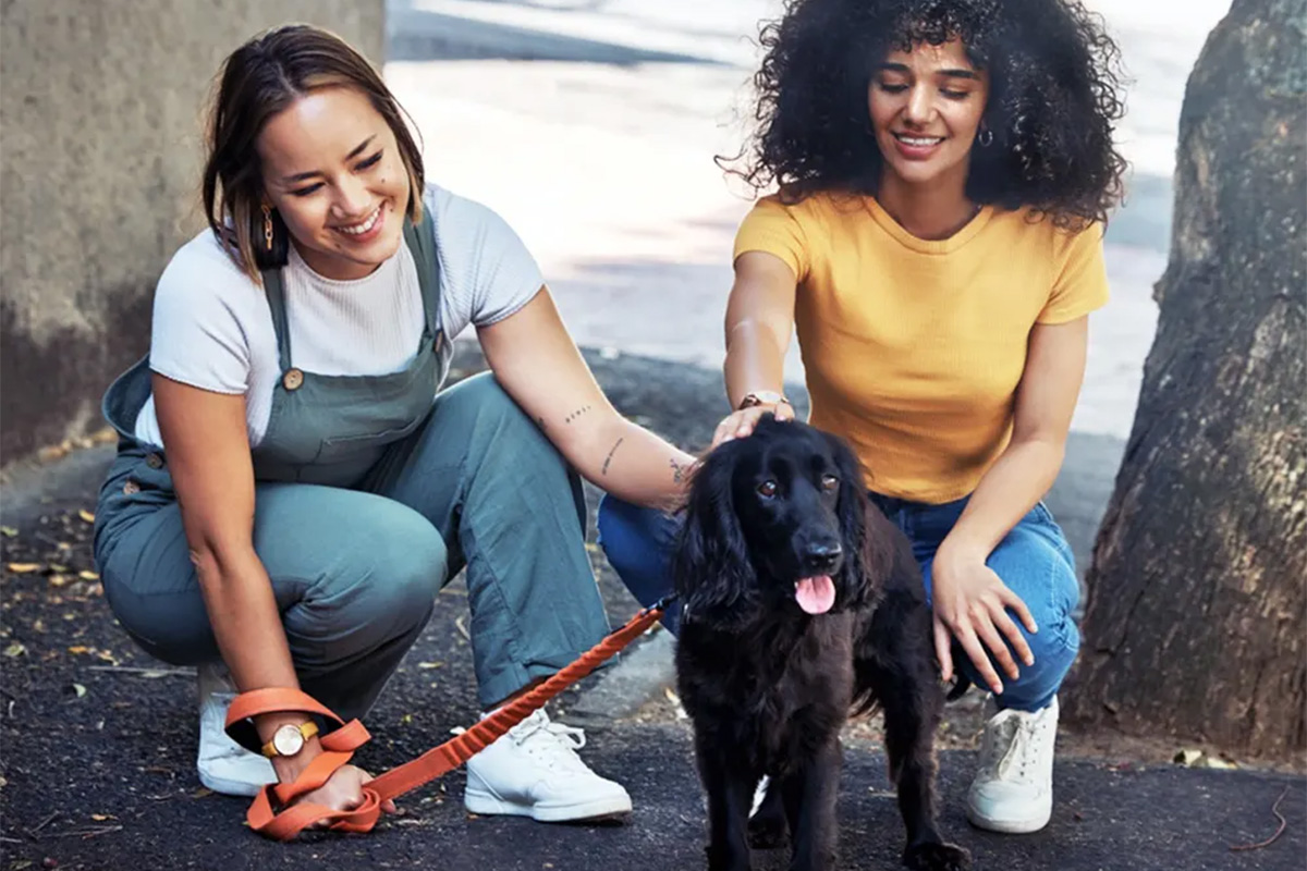 Two people petting a dog