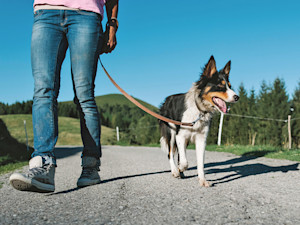 Person walking dog on lead
