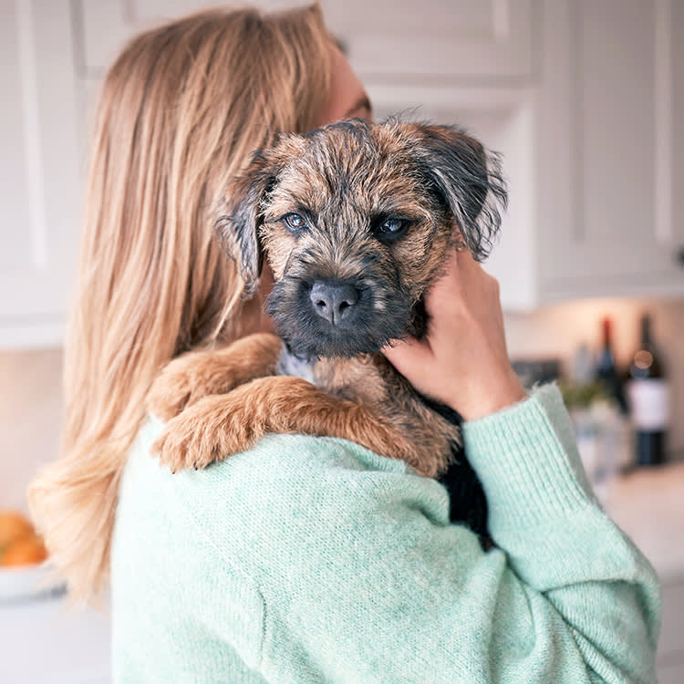 Woman cuddling her dog at home.