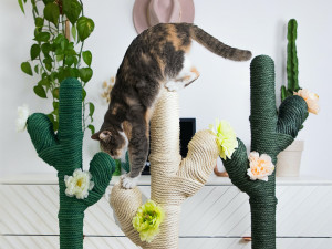 A calico cat climbing over colorful cactus shaped climbing trees. 