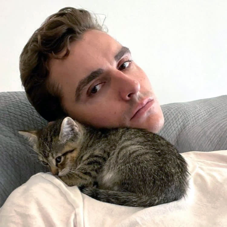 Dave Franco with his kitten at home.
