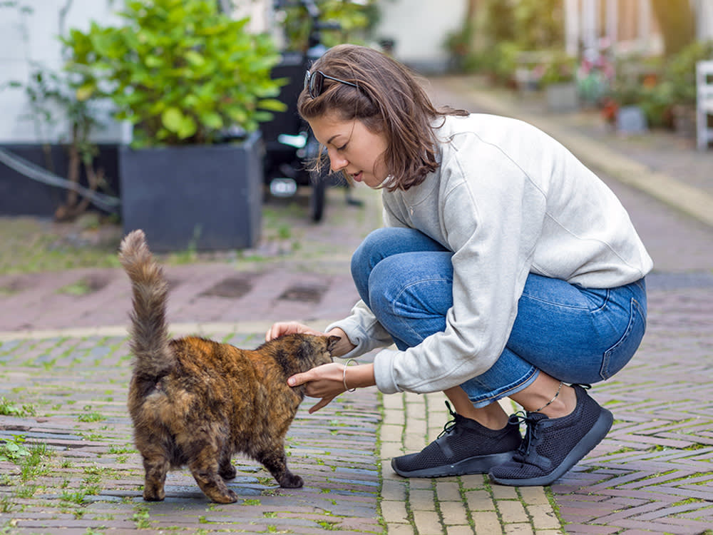 Woman petting cat in the street